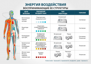 СКЭНАР-1-НТ (исполнение 01)  в Старом Осколе купить Медицинский интернет магазин - denaskardio.ru 